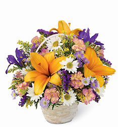 Natural Wonders Bouquet Flower Power, Florist Davenport FL